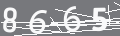 capsa